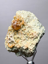 Load image into Gallery viewer, Hessonite Garnet Cluster on Matrix – Natural Collector Specimen from Pakistan | High-Grade Orange-Red Garnet Crystals
