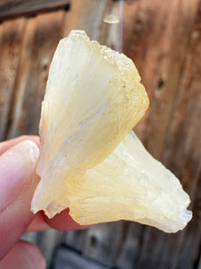 Golden Yellow Stilbite • Maharashtra, India
