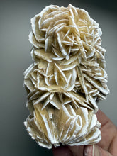 Load image into Gallery viewer, Desert Rose Selenite (Gypsum) — Mineral Display Specimen | Mexico
