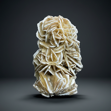 Load image into Gallery viewer, Desert Rose Selenite (Gypsum) — Mineral Display Specimen | Mexico
