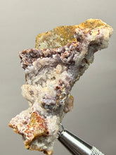 Load image into Gallery viewer, “Goblin Chalcedony” Pink and Red Druzy Botryoidal Stalactites — Tichka Massif, High Atlas, Morocco
