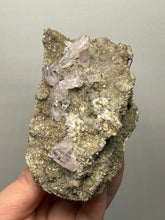 Load image into Gallery viewer, High-Grade Vera Cruz Amethyst Cluster on Andesite Matrix | Piedra Parada (Las Vigas District), Veracruz, Mexico
