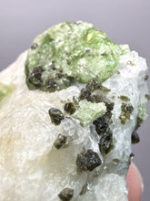 Load image into Gallery viewer, Electric Green Diopside on Quartz – Collector Mineral Specimen (Gilgit-Baltistan) Pakistan
