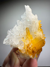 Load image into Gallery viewer, High Grade Golden Iron-Stained Himalayan Quartz Cluster | Rare Pakistan Mineral Specimen | Collector Display Crystal

