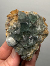 Load image into Gallery viewer, Rare Tenebrescent Color-Changing Cubic Fluorite | Hidden Forest Pocket — Diana Maria Mine, Frosterley, Weardale, County Durham, England
