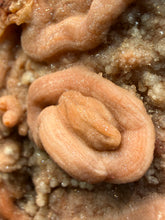 Load image into Gallery viewer, Chalcedony Quartz Rose Agate Collector Mineral Specimen – Morocco
