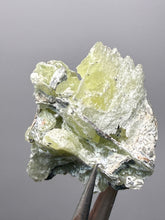 Load image into Gallery viewer, Vibrant Yellow Brucite Thumbnail Mineral Specimen | Collector Crystal from Killa Saifullah District in Balochistan Province, Pakistan
