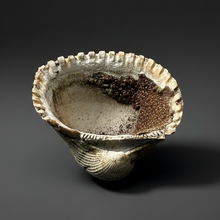 Load image into Gallery viewer, Bivalve (Pelecypoda) Fossil Sea Shell with Chalcopyrite | Mineralized Fossil Specimen | Indonesia
