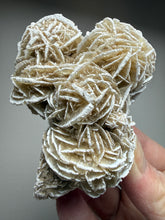 Load image into Gallery viewer, Desert Rose Selenite (Gypsum) — Mineral Display Specimen | Mexico
