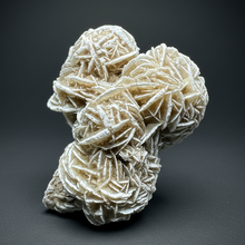 Load image into Gallery viewer, Desert Rose Selenite (Gypsum) — Mineral Display Specimen | Mexico
