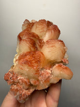 Load image into Gallery viewer, LARGE Rare Red Druzy Apophyllite with Red Stilbite Cluster Zeolite | India | Collector Mineral Specimen
