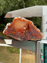 Load image into Gallery viewer, “Fiery Frozen Lake of the Atlas” – Scenic Plume Carnelian Agate from Morocco” • Polished
