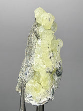 Load image into Gallery viewer, Vibrant Yellow Brucite Thumbnail Mineral Specimen | Collector Crystal from Killa Saifullah District in Balochistan Province, Pakistan
