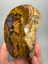 Load image into Gallery viewer, MUSEUM Turkish Agate with Intriguing Inclusions – Great Sticks, Banding and Eyes - Turkey
