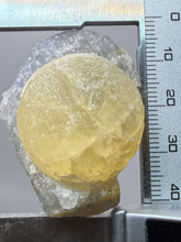 Load image into Gallery viewer, Rare Botryoidal Yellow Fluorite on Quartz Matrix  Collector Mineral Specimen – Maharashtra, India
