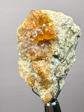 Load image into Gallery viewer, Hessonite Garnet Cluster on Matrix – Natural Collector Specimen from Pakistan | High-Grade Orange-Red Garnet Crystals
