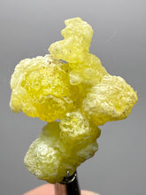 Load image into Gallery viewer, Vibrant Yellow Brucite Thumbnail Mineral Specimen | Collector Crystal from Killa Saifullah District in Balochistan Province, Pakistan
