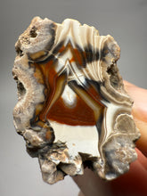 Load image into Gallery viewer, INCREDIBLE High-Grade Indonesian Sumatra Agate Pair – Vibrant Banded Chalcedony with Rich Color Zoning | Ethical Lapidary &amp; Collector Display Specimens
