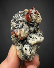 Load image into Gallery viewer, Naturally Faceted Zircon Crystal on Pegmatite–Biotite Matrix • Pakistan Mineral Specimen

