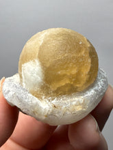 Load image into Gallery viewer, Rare Botryoidal Yellow Fluorite on Quartz Matrix  Collector Mineral Specimen – Maharashtra, India
