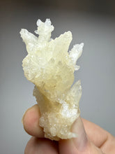 Load image into Gallery viewer, High-Grade Coral Aragonite Specimen | Wenshan Mine, Yunnan, China | Collector Mineral Display

