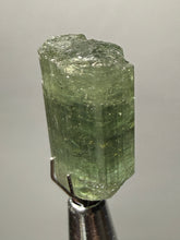 Load image into Gallery viewer, Raw Green Tourmaline Crystal Specimen | Ocean View Mine, Pala, California, USA
