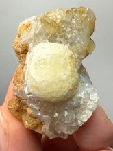 Load image into Gallery viewer, Rare Botryoidal Yellow Fluorite on Quartz Matrix  Collector Mineral Specimen – Maharashtra, India
