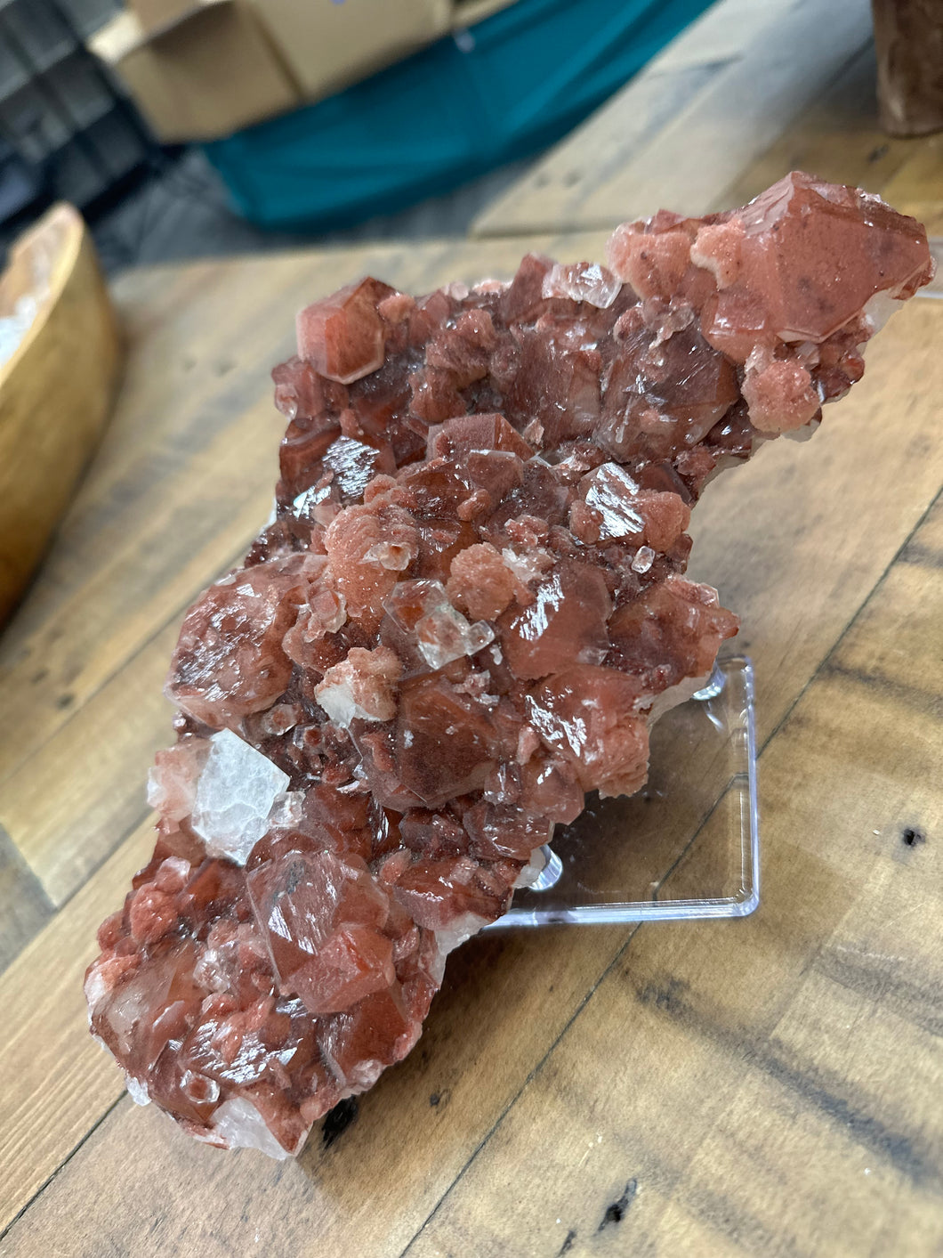 Red Druzy Phantom Apophyllite w Stilbite VERY RARE • Maharashtra, India