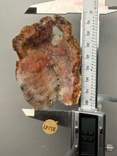 Load image into Gallery viewer, “Goblin Chalcedony” Pink &amp; Orange Druzy Botryoidal Stalactites — Tichka Massif, High Atlas, Morocco
