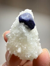 Load image into Gallery viewer, Afghan Lazurite Specimen | Deep Blue Lapis-Grade Crystal on Matrix | Collector Display Mineral
