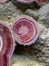 Load image into Gallery viewer, Rhodochrosite Free Form Collector Mineral Display Specimen — Argentina

