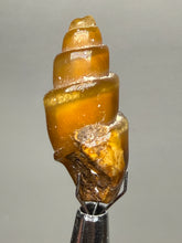 Load image into Gallery viewer, Agatized Gastropod Fossil Specimen | Morocco
