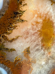 Rare Moroccan Orange Plume Carnelian Agate Collected by Indigenous Nomads | Ancient Beauty from the Sahara