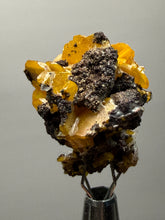Load image into Gallery viewer, High-Grade Orange Wulfenite Collector Display Specimen | La Morita Mine, Chihuahua, Mexico
