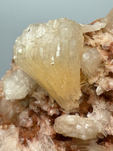 Load image into Gallery viewer, Shiny Peach Stilbite on Druzy Red Heulandite – High-Grade Collector Mineral Specimen from India
