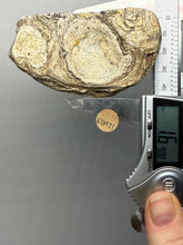 Load image into Gallery viewer, Premium Sumatra Agate Pair (Banded Chalcedony) Display Specimen | Indonesia
