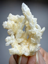 Load image into Gallery viewer, High-Grade Coral Aragonite Crystal Specimen – Wenshan Mine, Yunnan, China
