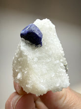 Load image into Gallery viewer, Afghan Lazurite Specimen | Deep Blue Lapis-Grade Crystal on Matrix | Collector Display Mineral

