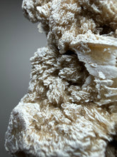Load image into Gallery viewer, Desert Rose Selenite (Gypsum) — Mineral Display Specimen | Mexico
