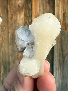 Clear Gem Apophyllite on Cream Stilbite • Maharashtra, India