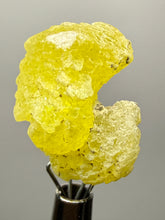 Load image into Gallery viewer, Vibrant Yellow Brucite Thumbnail Mineral Specimen | Collector Crystal from Killa Saifullah District in Balochistan Province, Pakistan

