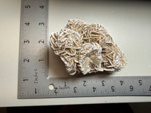 Load image into Gallery viewer, Desert Rose Selenite (Gypsum) — Mineral Display Specimen | Mexico
