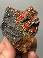 Load image into Gallery viewer, Natural Vanadinite on Matrix | Collector Mineral Specimen | Morocco
