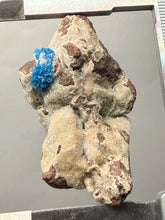 Load image into Gallery viewer, Rare Electric Blue Cavansite on Druzy Matrix – Collector Mineral Specimen | India
