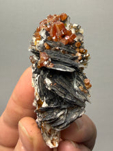 Load image into Gallery viewer, Natural Vanadinite on Matrix | Collector Mineral Specimen | Morocco
