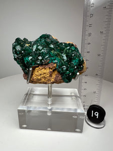 Dioptase Cluster from Congo • High Grade • Mineral Collector’s Specimen Showpiece