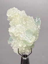 Load image into Gallery viewer, Luminous Mint Apophyllite with Glittering Druzy Sugar Quartz – India
