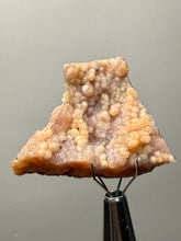 Load image into Gallery viewer, “Goblin Chalcedony” Pink and Red Druzy Botryoidal Stalactites — Tichka Massif, High Atlas, Morocco
