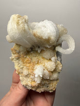 Load image into Gallery viewer, Moroccan Ram’s Horn Selenite (Gypsum) Crystal Display Specimen
