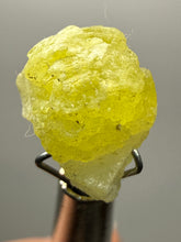 Load image into Gallery viewer, Vibrant Yellow Brucite Thumbnail Mineral Specimen | Collector Crystal from Killa Saifullah District in Balochistan Province, Pakistan
